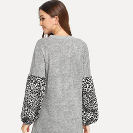 Leopard Panel Sleeve Dress