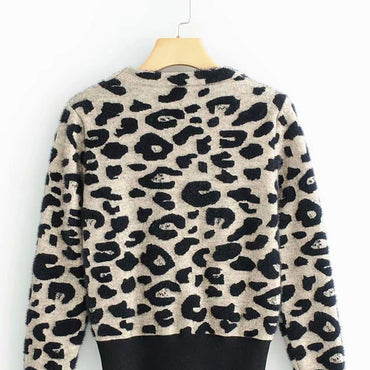 Leopard Print Jumper